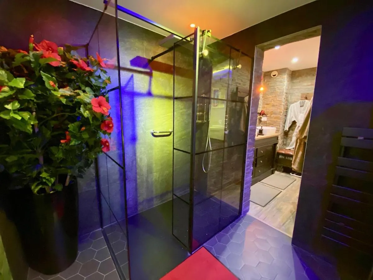 High Standing! 200M2 Private Garden Jacuzzi Sun Bed & Interior Spa Antibes Apartment